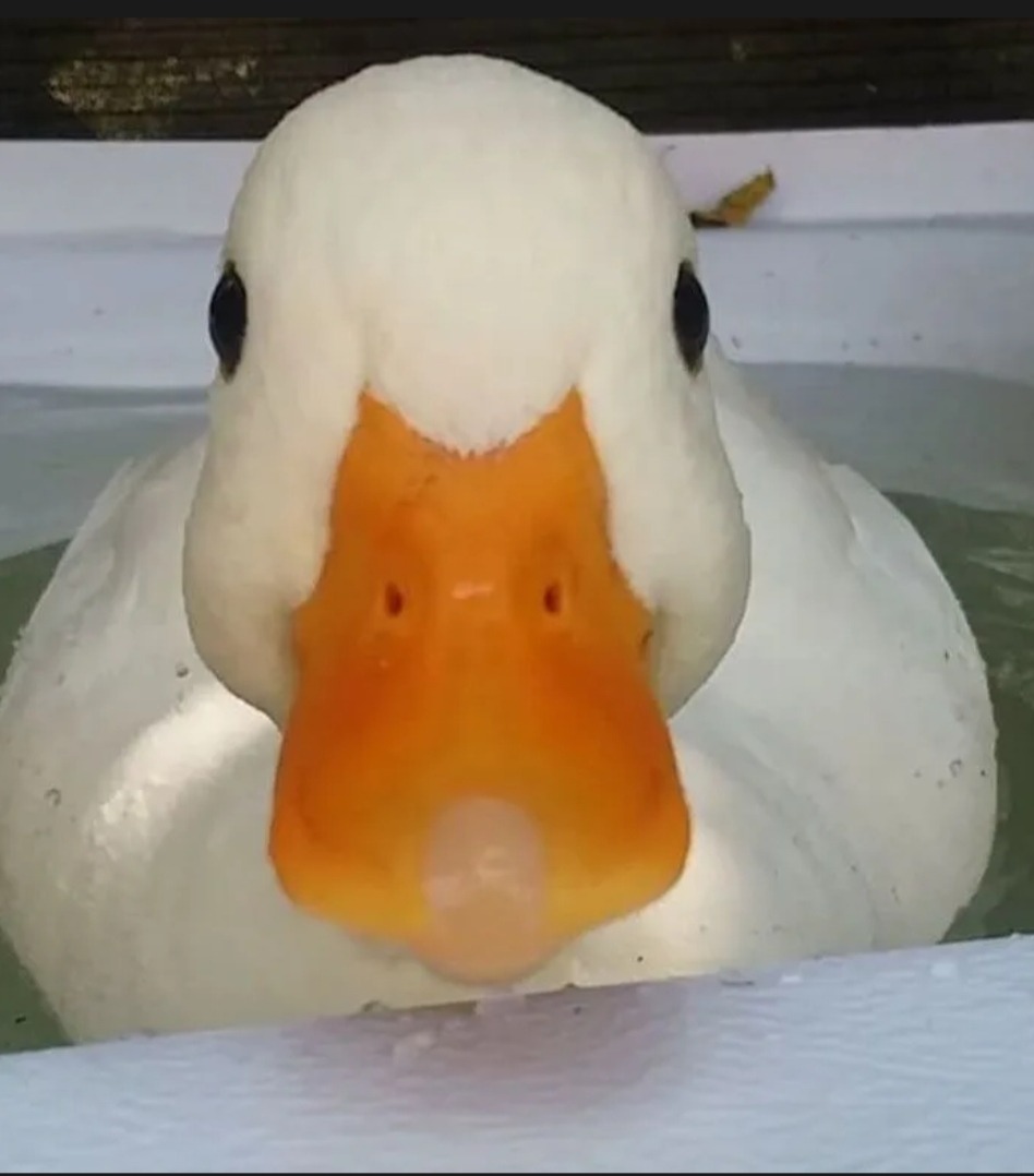 Profil de Mars, 21 ans, Sex à Ceylon