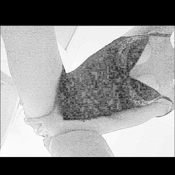 Profil de Sybel, 40 ans, Sex à Grenville