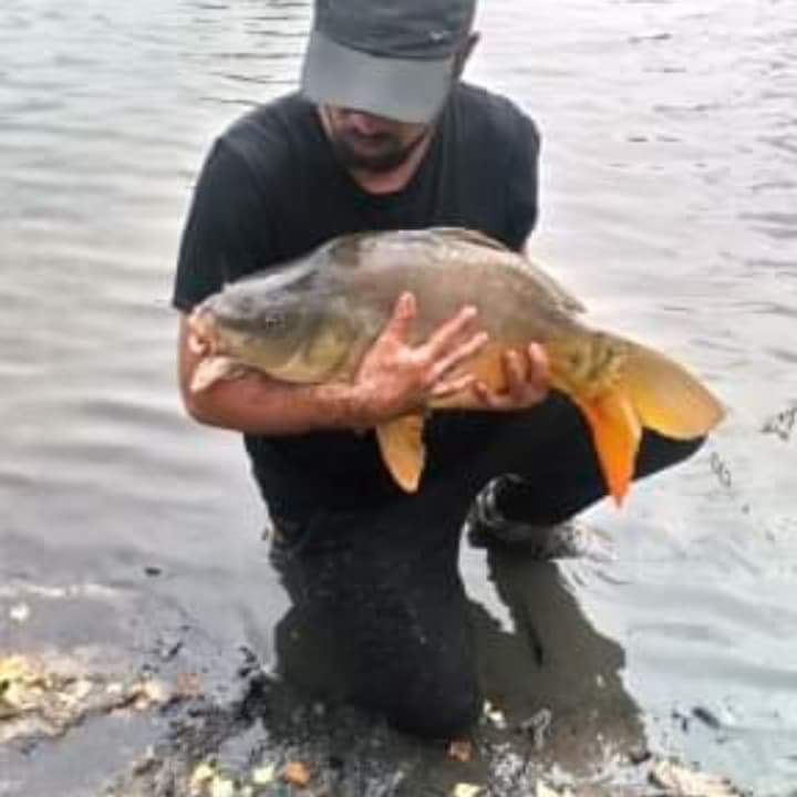 Profil de Mehmed, 35 ans, Sex à Pennant