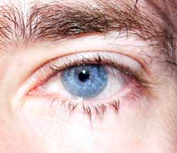 Profil de Cyril, 53 ans, Sex à Thorsby