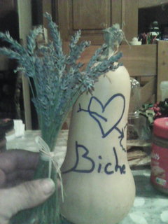 Profil de Antonn, 52 ans, Sex à Crossfield