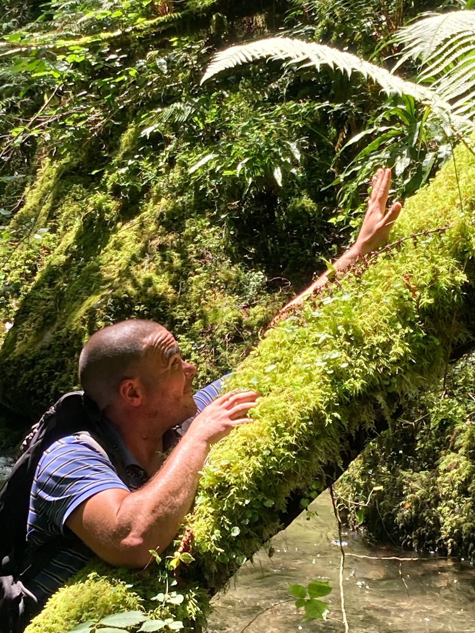 Profil de Norbert, 39 ans, Sex à Saint-Cuthbert