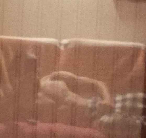 Profil de Allassane, 23 ans, Sex à Thorsby