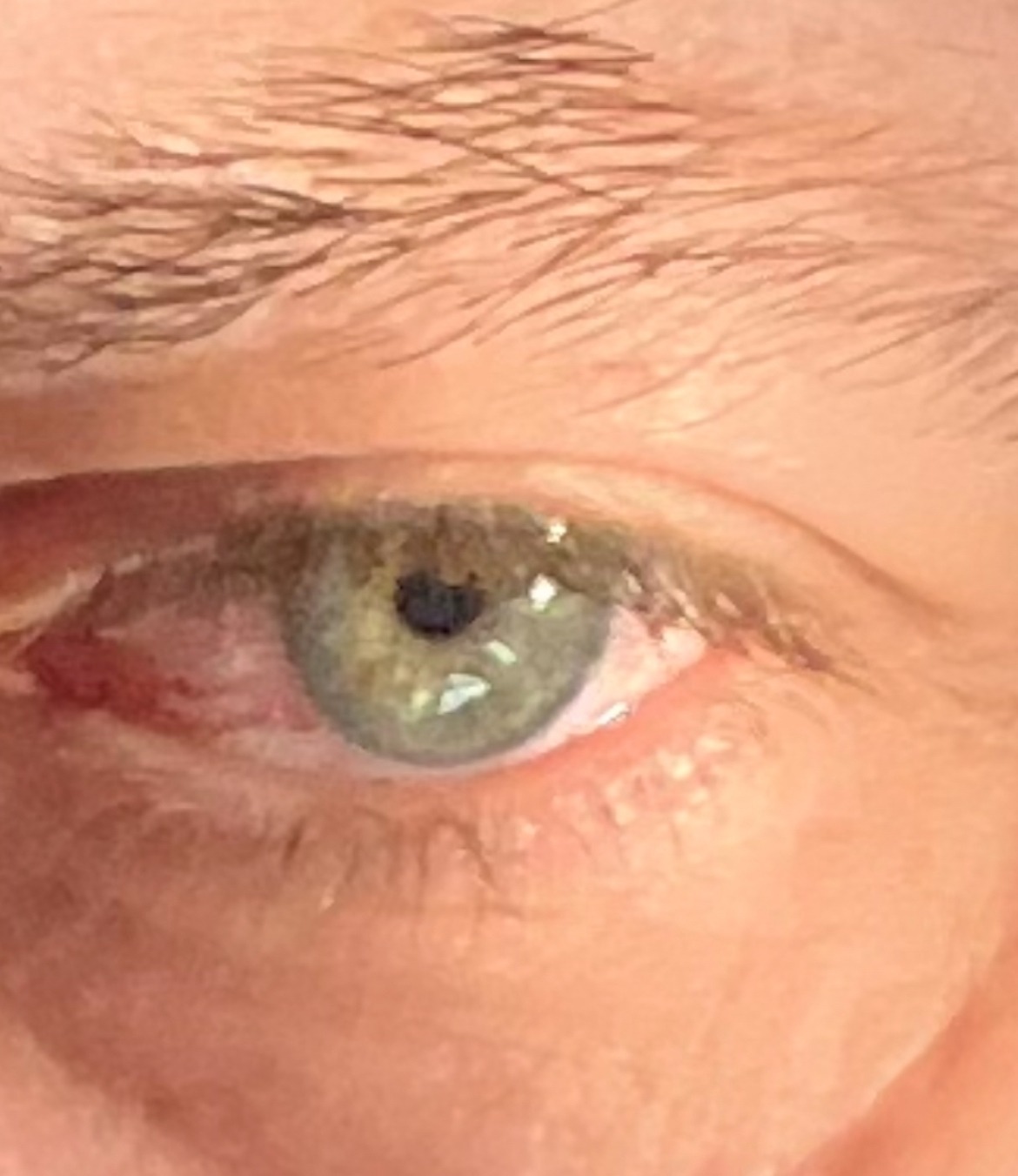 Profil de Franco, 52 ans, Sex à Roxton Falls