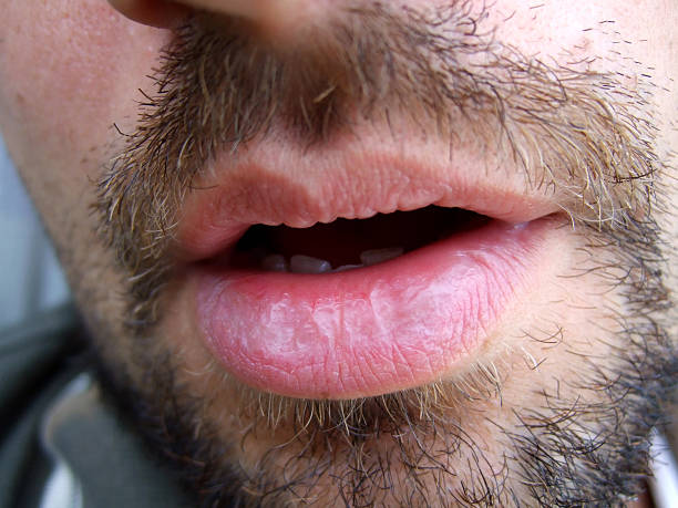 Profil de Hafid, 26 ans, Sex à Roxton Falls